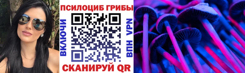 Псилоцибиновые грибы Cubensis  что такое   Ревда 